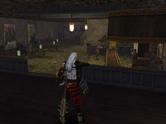 Inside the Red Raven pub