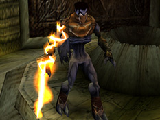 The Fire Reaver